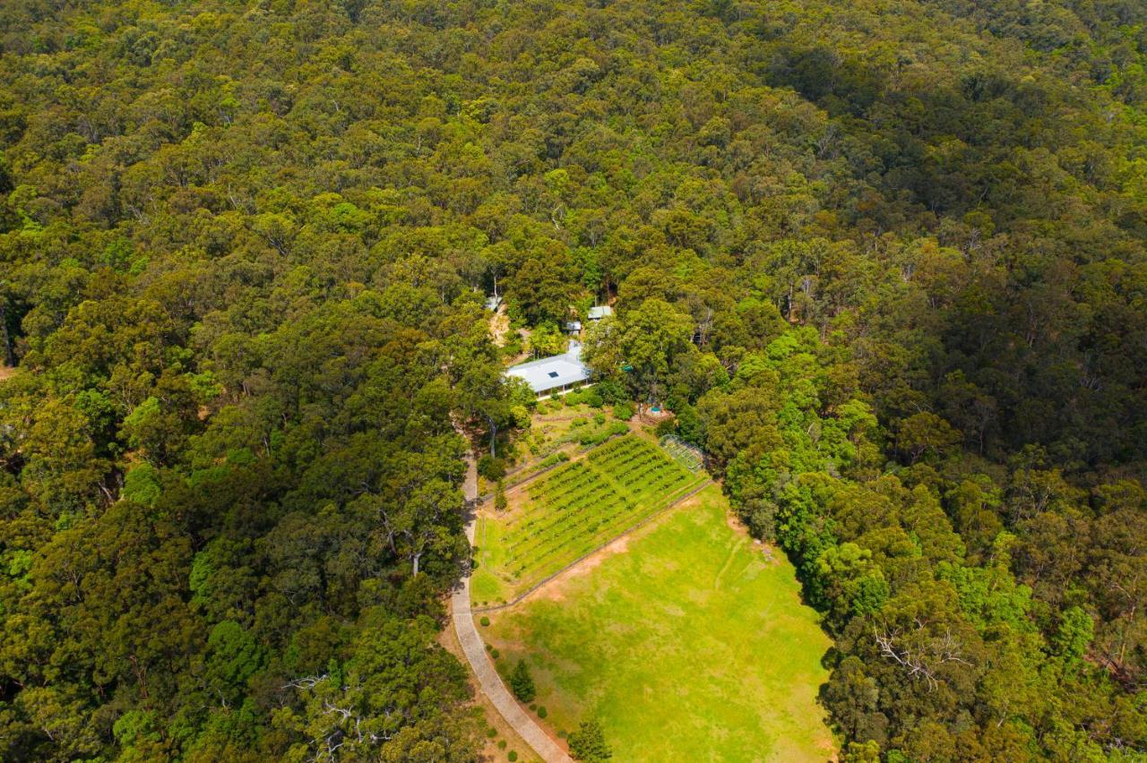 Wallaby Ridge Retreat Mount Tamborine